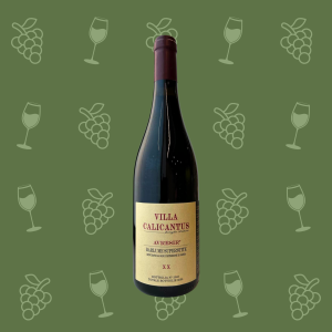 Avresir 2020 Vino Rosso Villa Calicantus