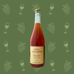 Sollazzo 2022 vino rosato frizzante villa calicantus