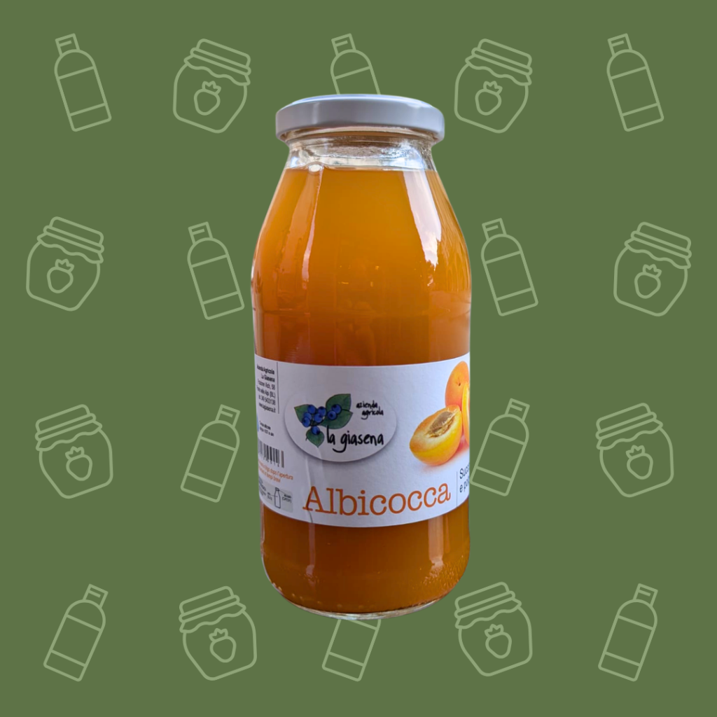 succo di albicocca artigianale