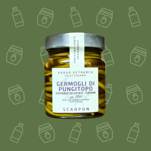 germogli pungitopo scarpon