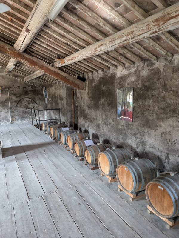 Monte del Cuca - Giovanni Menti - immagine 6