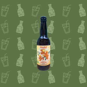 kombucha funky cardamomo zenzero